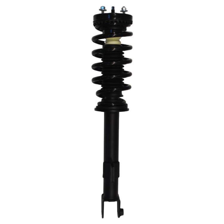 Strut Assembly