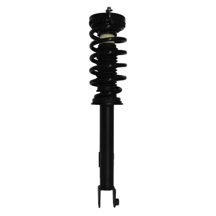 Strut Assembly