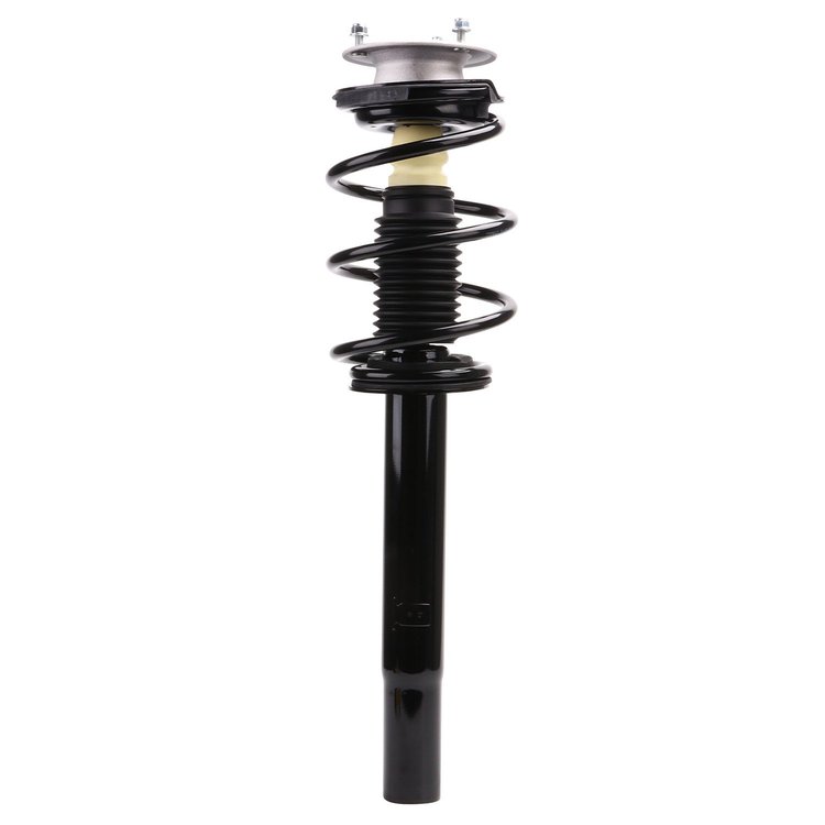 Strut Assembly