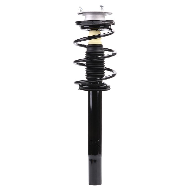 Strut Assembly