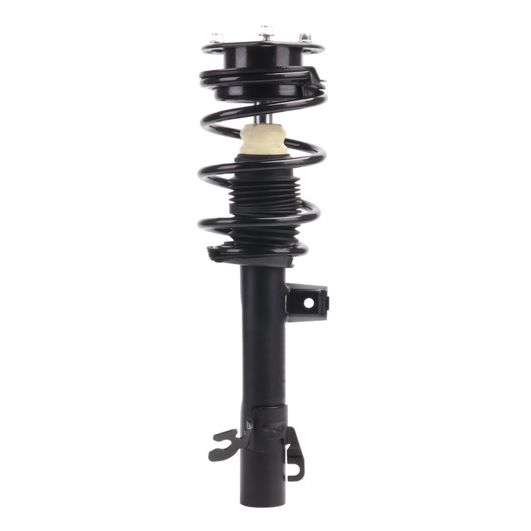 Strut Assembly