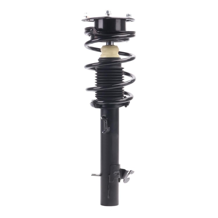 Strut Assembly