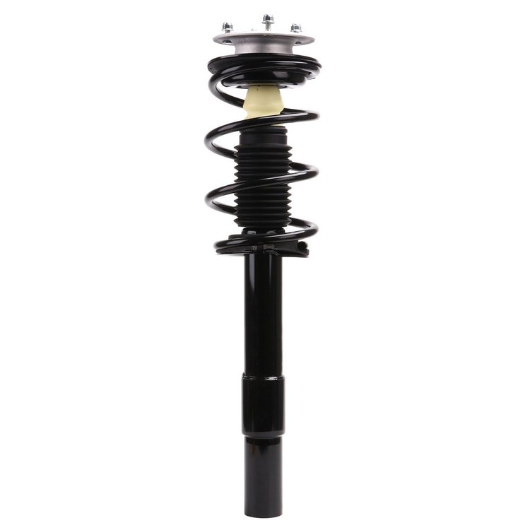 Strut Assembly