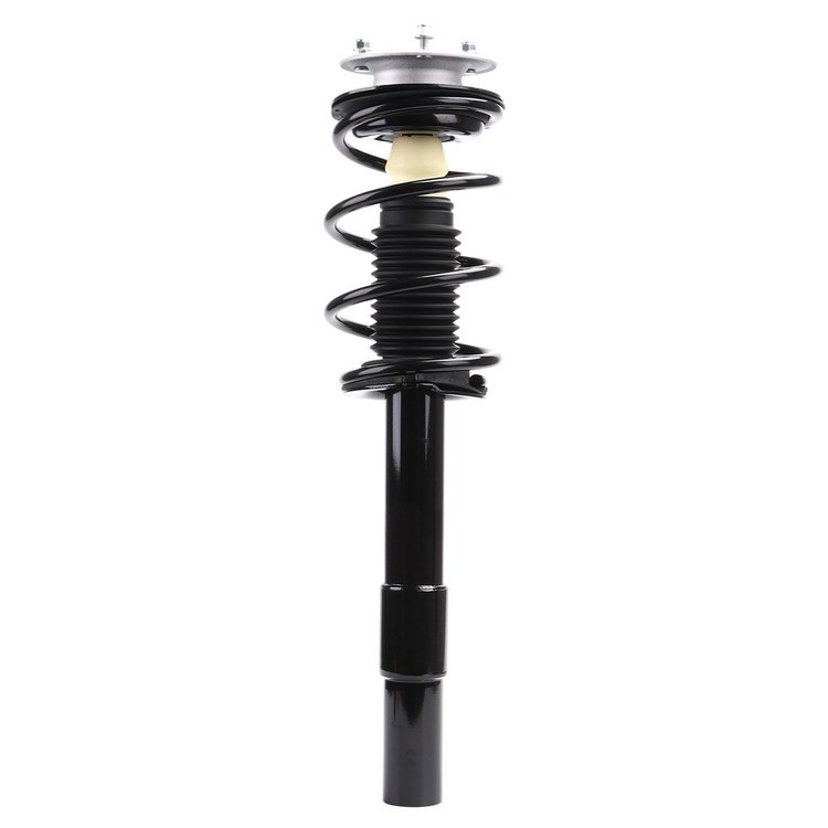 Strut Assembly