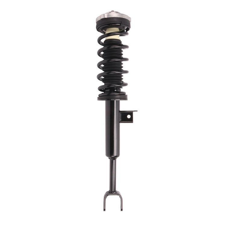 Strut Assembly