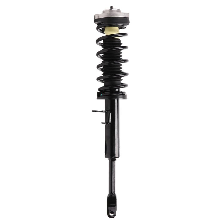 Strut Assembly