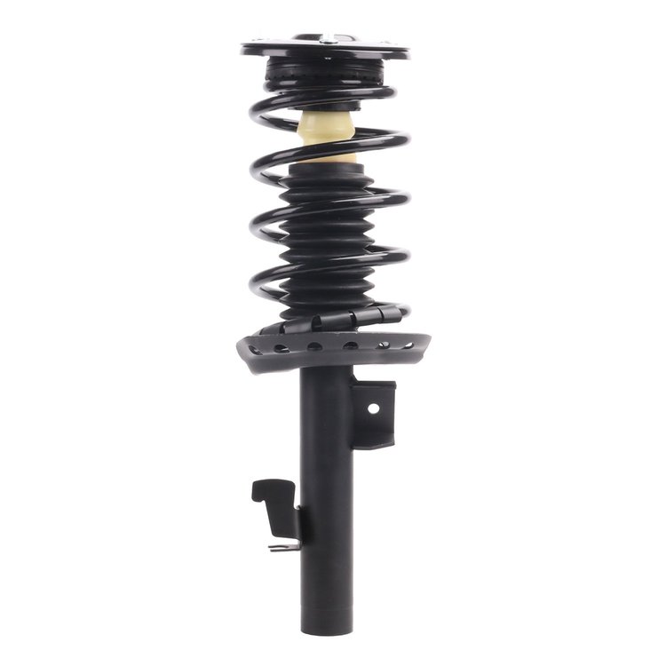 Strut Assembly
