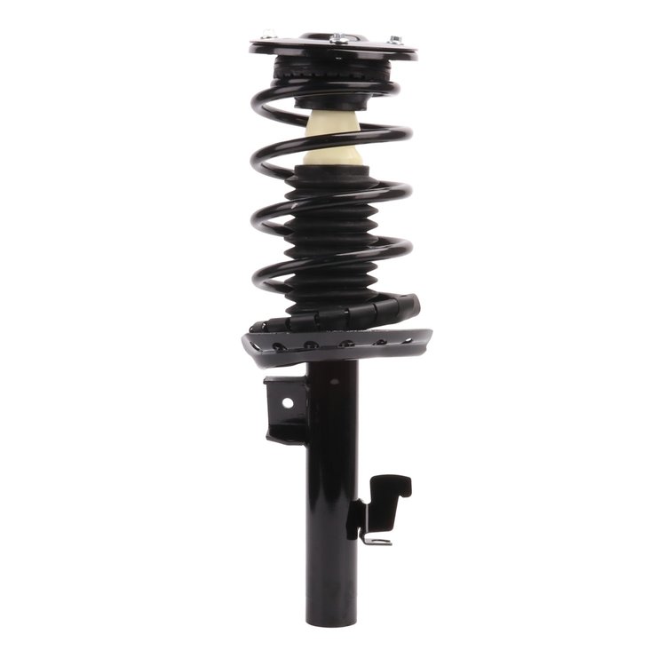 Strut Assembly