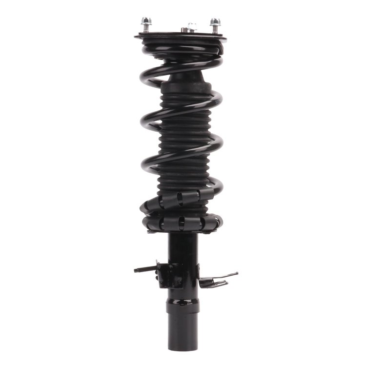 Strut Assembly