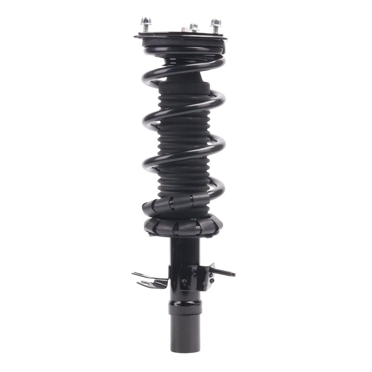 Strut Assembly