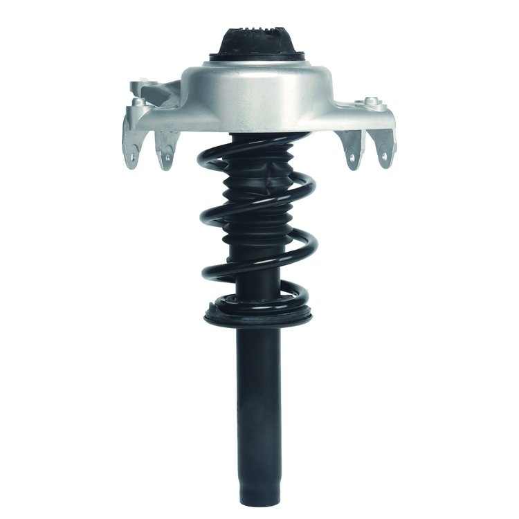 Strut Assembly
