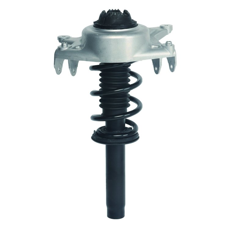 Strut Assembly