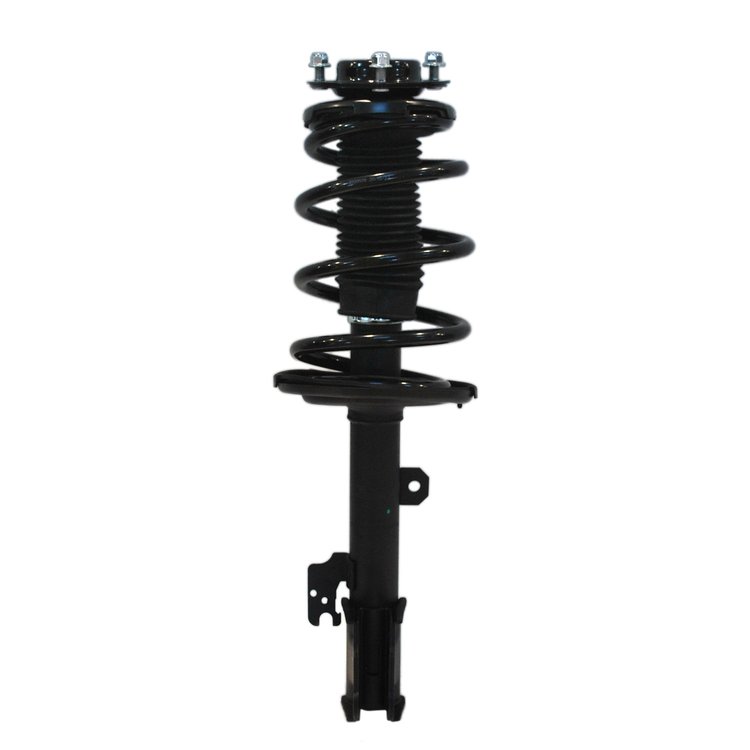 Strut Assembly