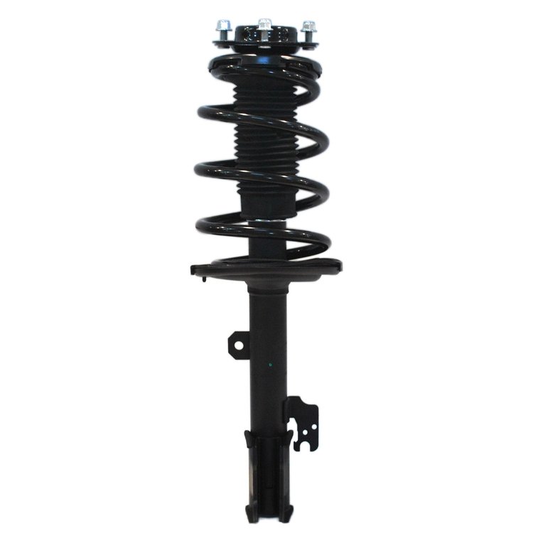 Strut Assembly
