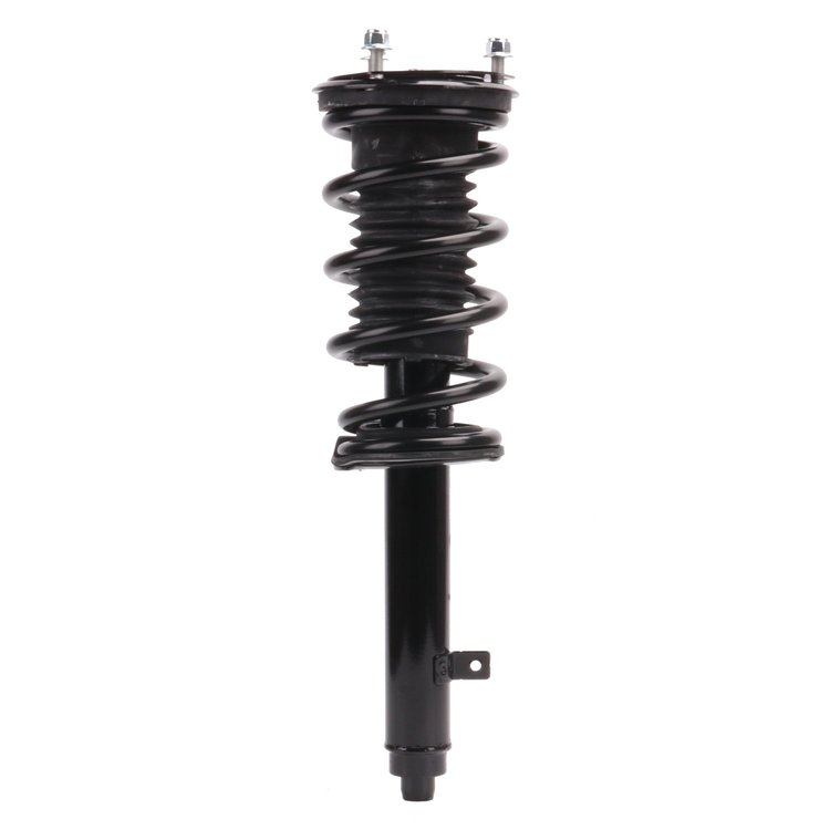 Strut Assembly