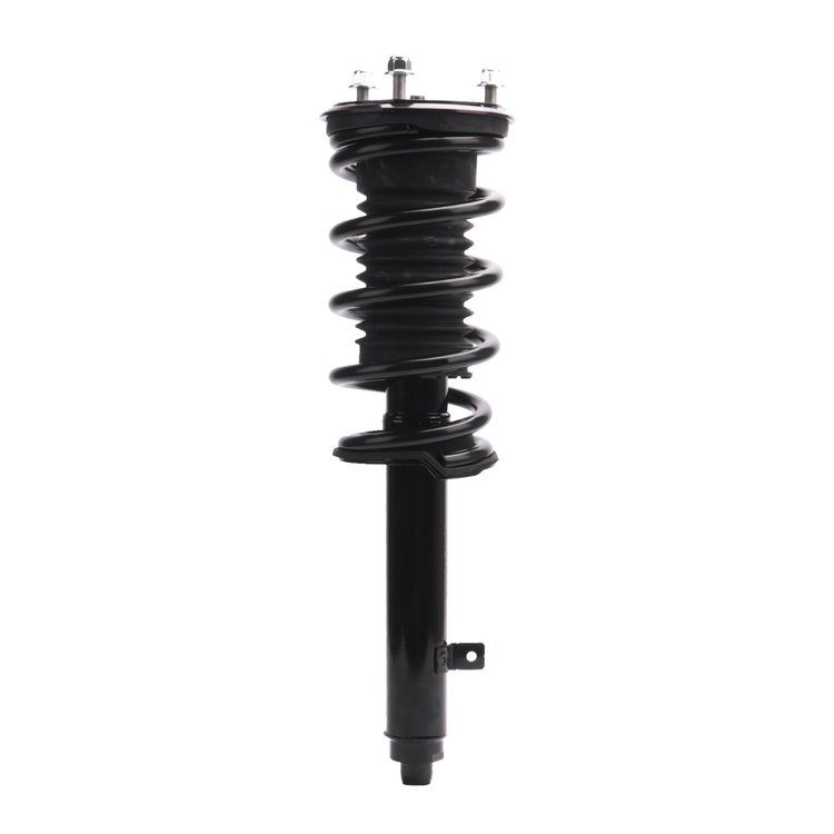 Strut Assembly