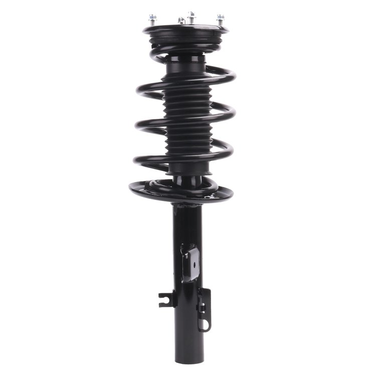 Strut Assembly