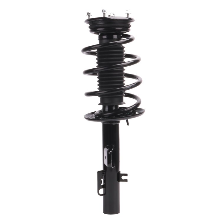 Strut Assembly