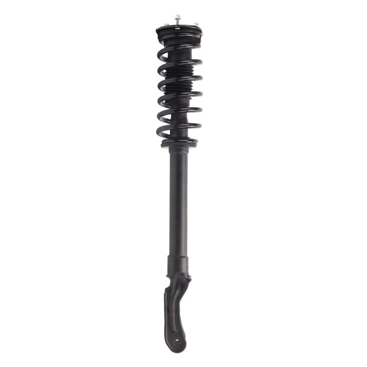 Strut Assembly