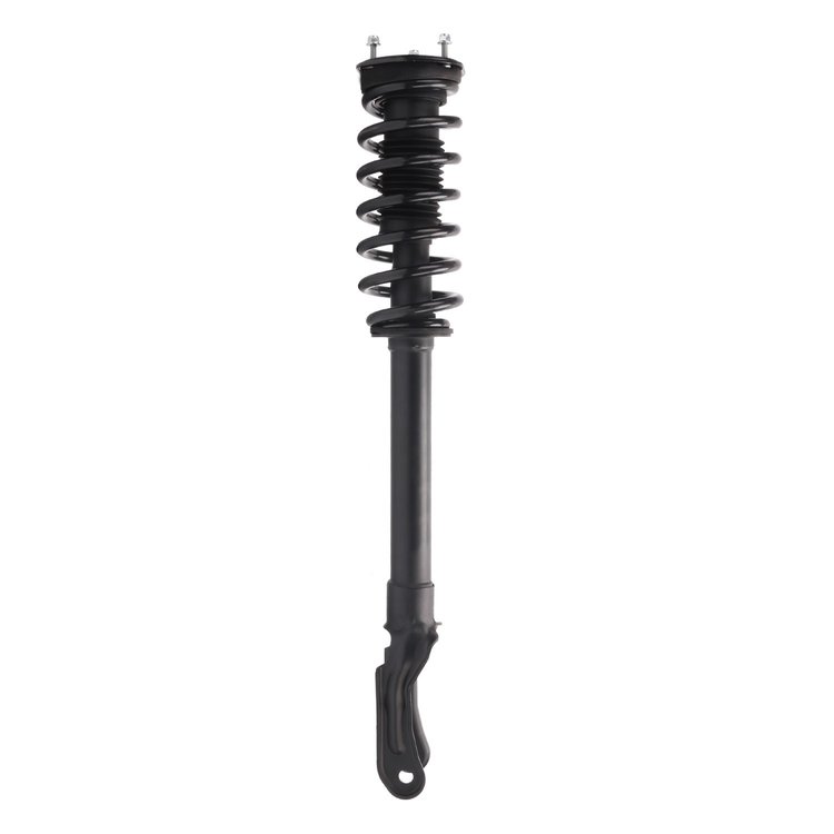 Strut Assembly