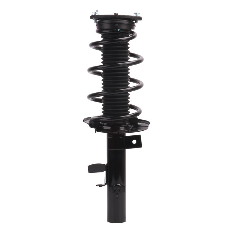 Strut Assembly
