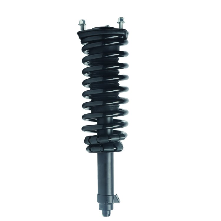 Strut Assembly