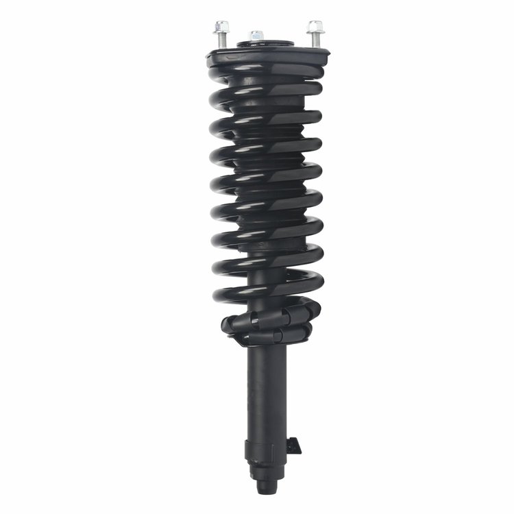 Strut Assembly