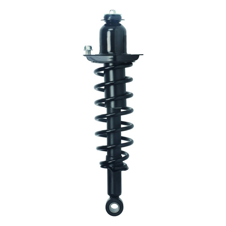 Strut Assembly