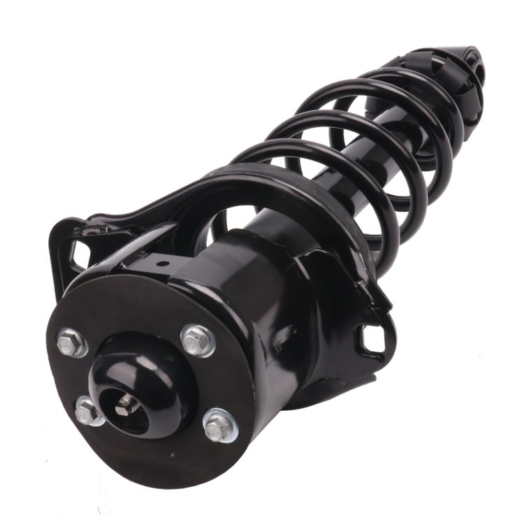 Strut Assembly