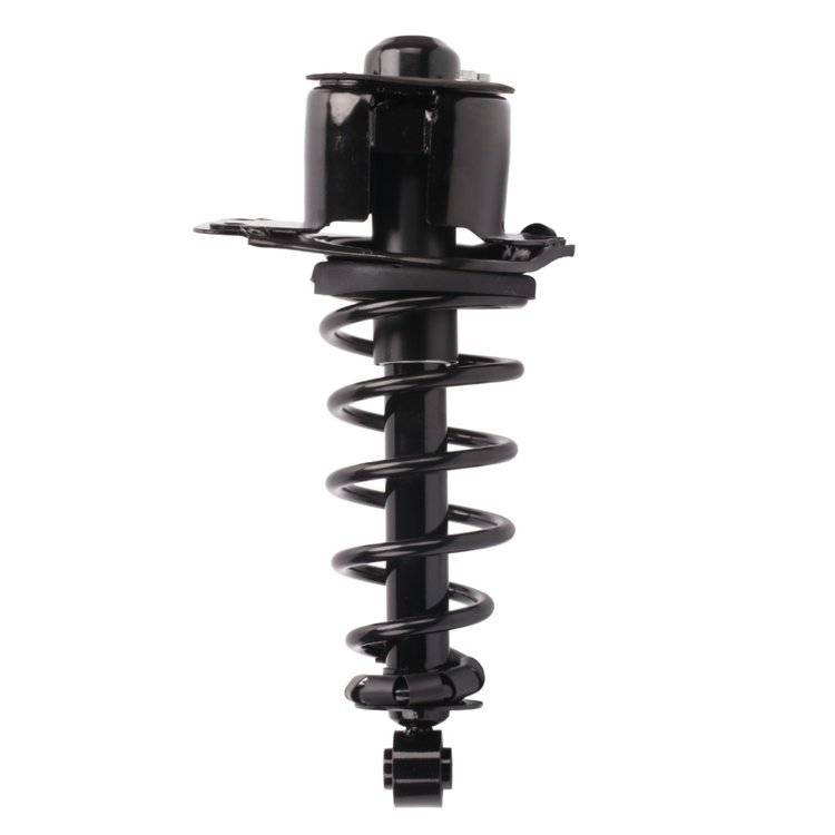Strut Assembly