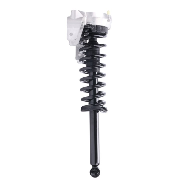 Strut Assembly