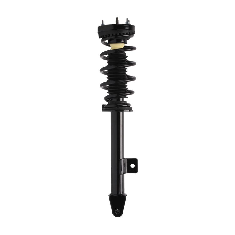 Strut Assembly
