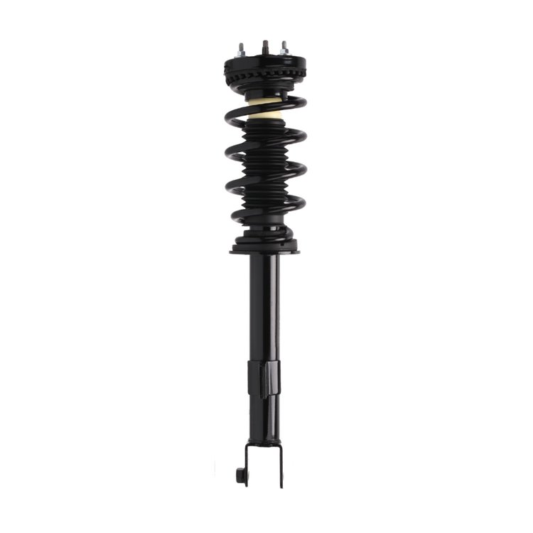 Strut Assembly