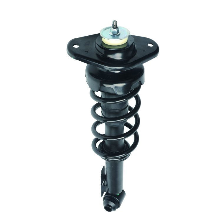 Strut Assembly