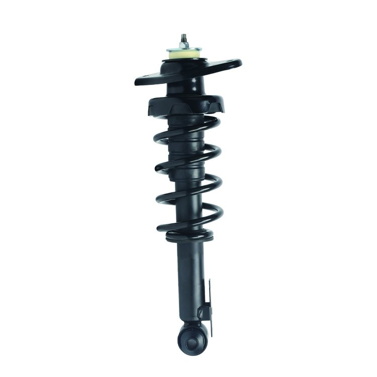 Strut Assembly