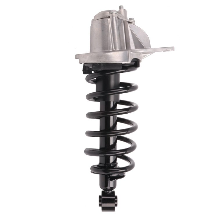 Strut Assembly