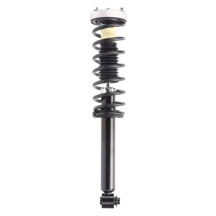 Strut Assembly