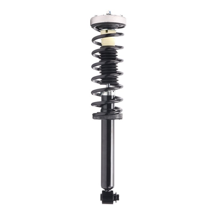 Strut Assembly
