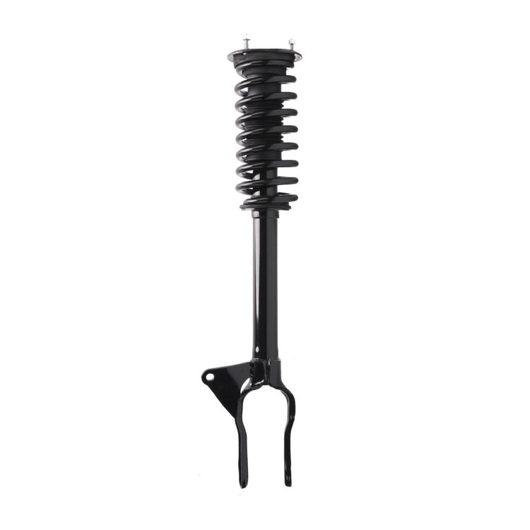 Strut Assembly