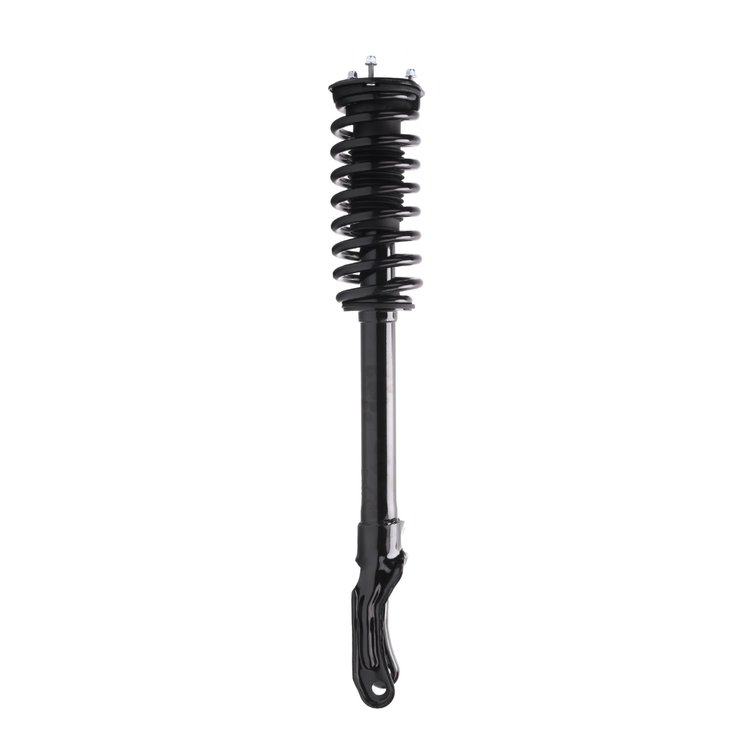 Strut Assembly