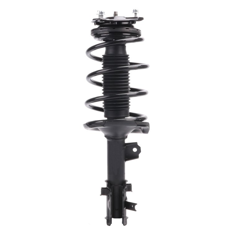 Strut Assembly