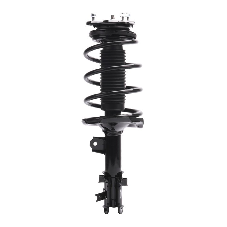 Strut Assembly
