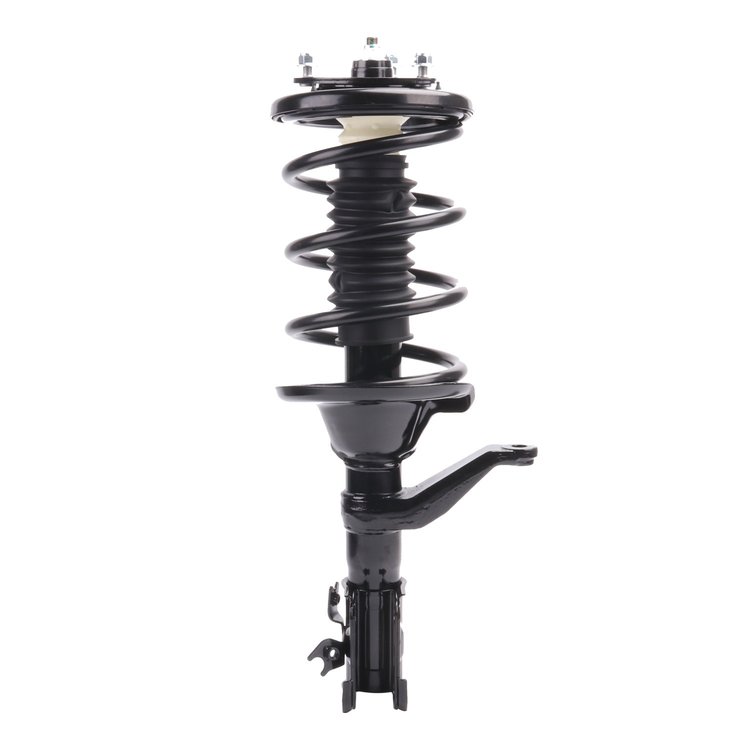Strut Assembly