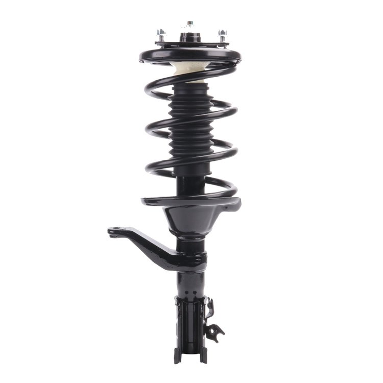 Strut Assembly