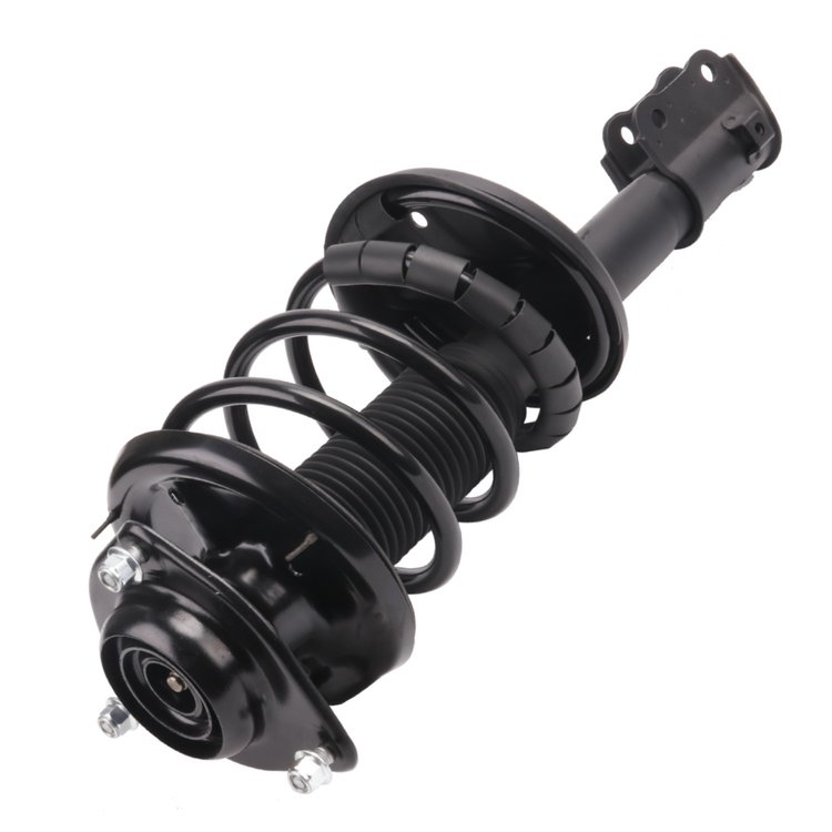 Strut Assembly