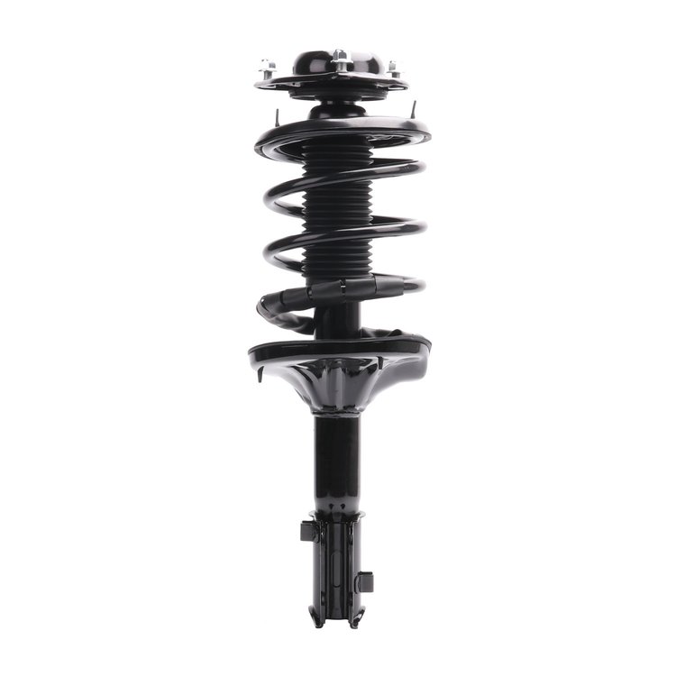 Strut Assembly