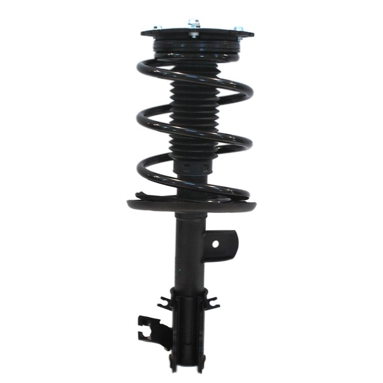 Strut Assembly