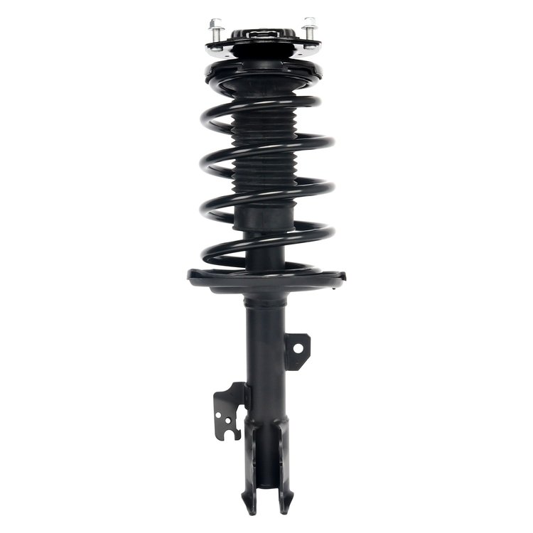 Strut Assembly