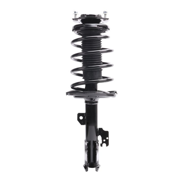Strut Assembly