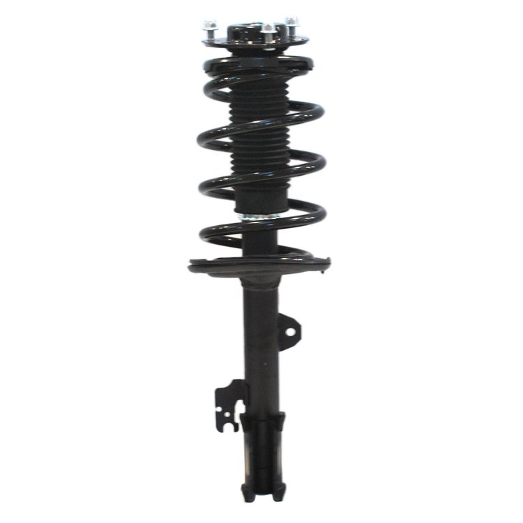Strut Assembly